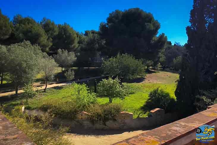 Lush green view from Masia Can Casadellà with tropical trees and a scenic path leading toward the mountains
