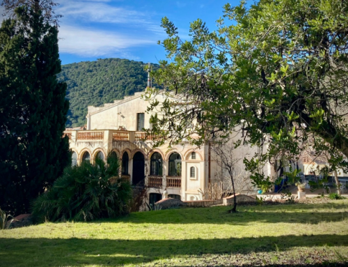 Masia Can Casadella****