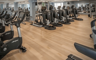 Overview of SorliSport’s state-of-the-art weightlifting area with two indoor floors and an outdoor workout space, equipped with the latest fitness machines and free weights.